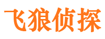 武鸣外遇调查取证